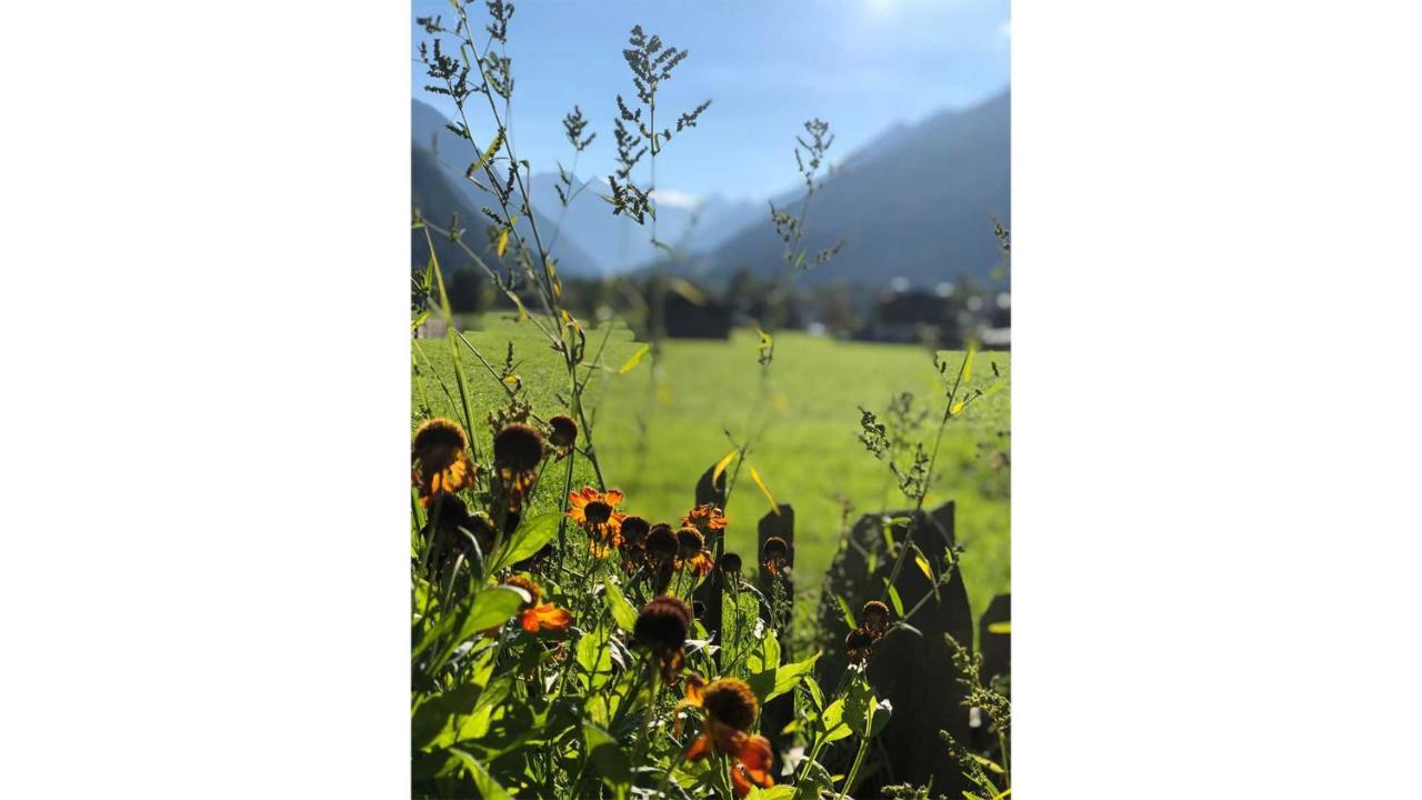 Gastehaus Haus Barbara Lägenhet Neustift im Stubaital Exteriör bild